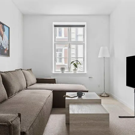 Premium High-street W Large Private Terrace Apartament Århus